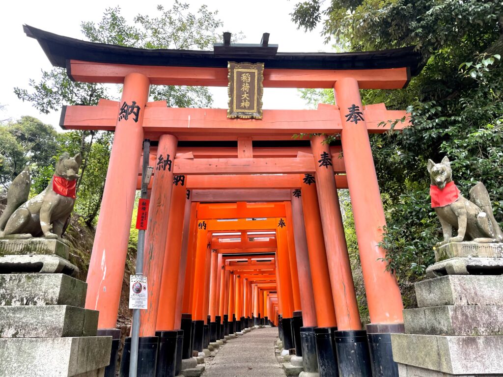 伏見稲荷大社　千本鳥居