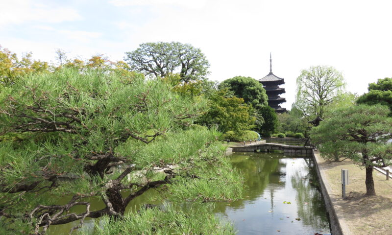 東寺