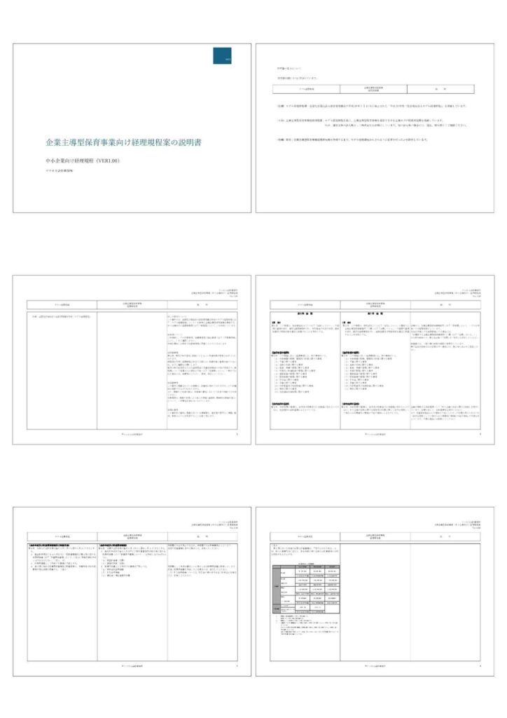 企業主導型保育園の経理規程の説明書、サンプル画像１ページ