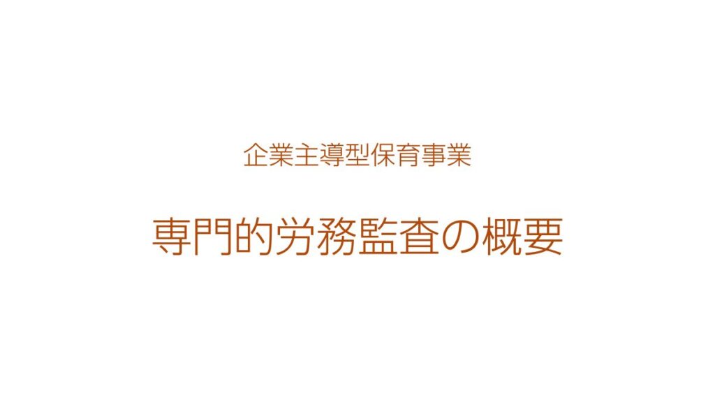 企業主導型保育事業・専門的労務監査の概要・専門的労務監査を監査基準を基に解説