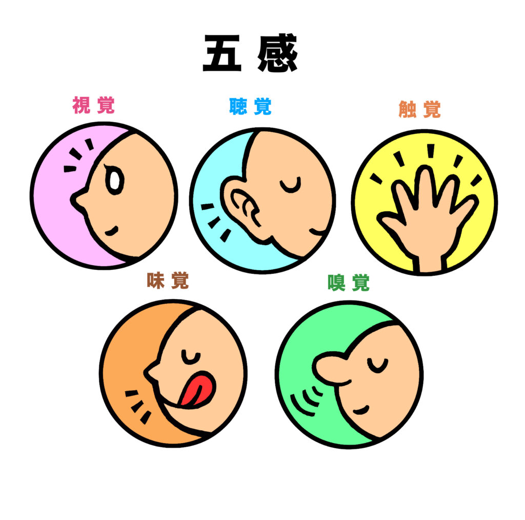 五感の調和で安心できる空間をつくる方法を解説するイメージ画像