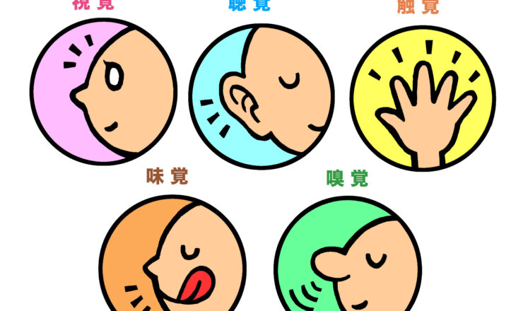 五感の調和で安心できる空間をつくる方法を解説するイメージ画像